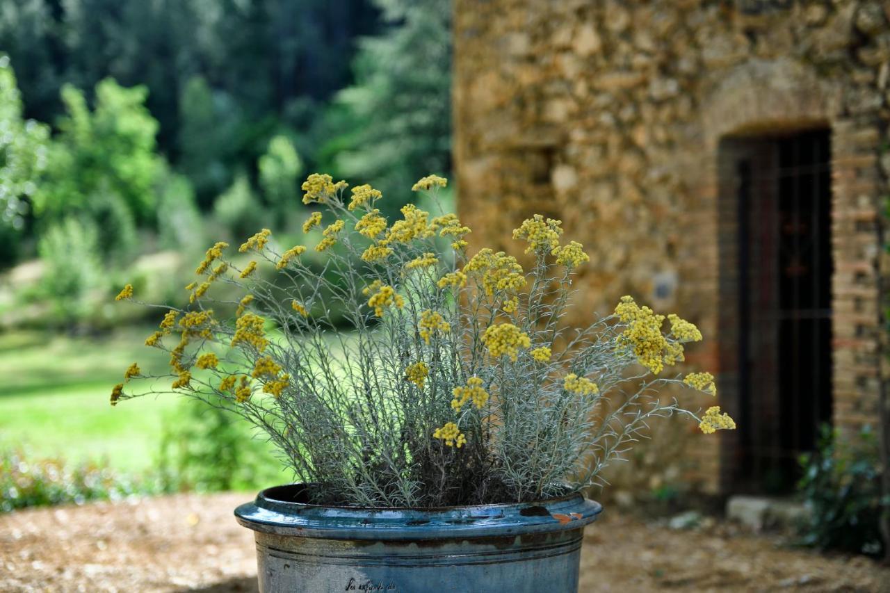 Les Jardins de Falguière Saint-Jean-du-Gard Esterno foto