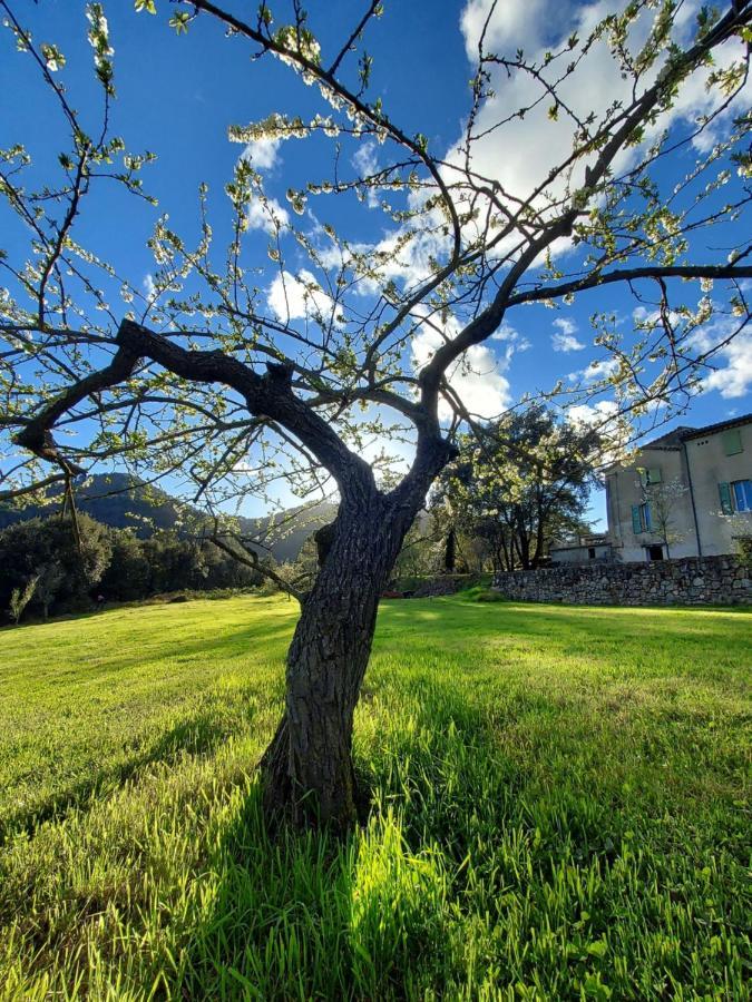 Hotel Les Jardins de Falguière Saint-Jean-du-Gard Esterno foto