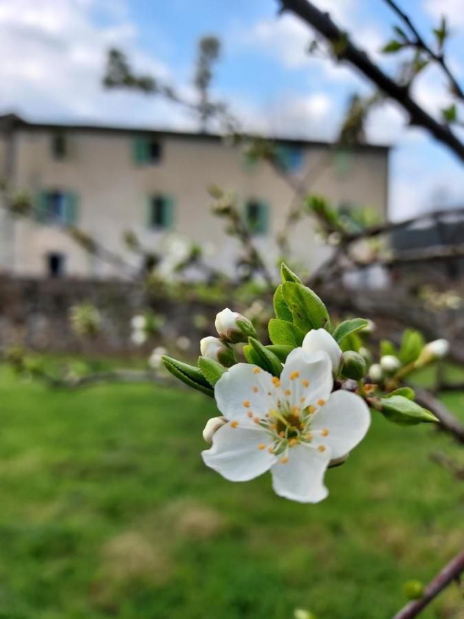 Hotel Les Jardins de Falguière Saint-Jean-du-Gard Esterno foto