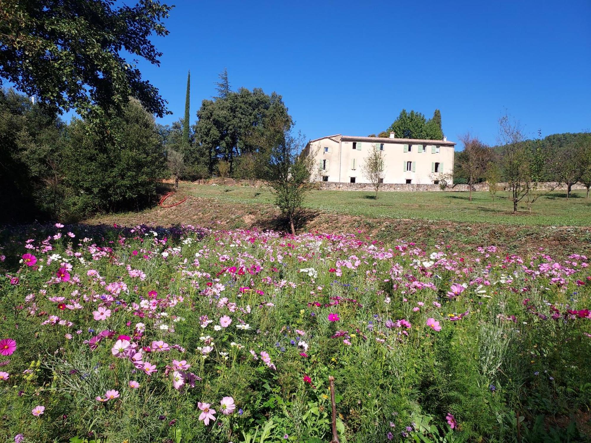 Les Jardins de Falguière Saint-Jean-du-Gard Esterno foto