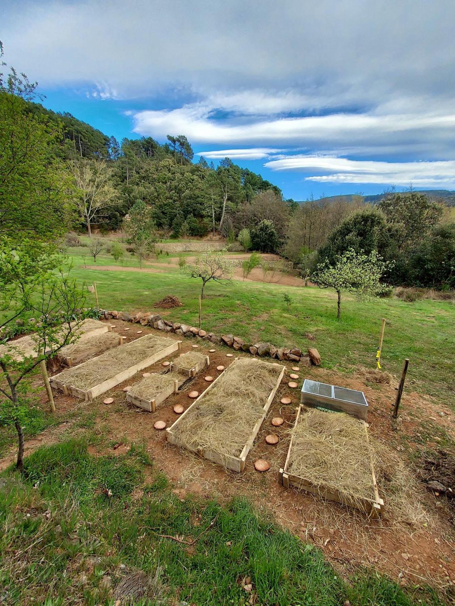 Les Jardins de Falguière Saint-Jean-du-Gard Esterno foto