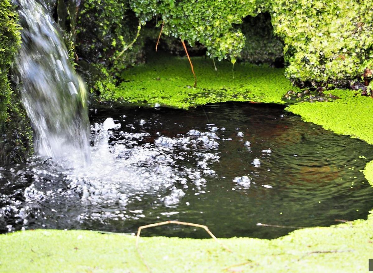 Hotel Les Jardins de Falguière Saint-Jean-du-Gard Esterno foto